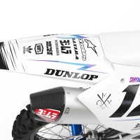 Motocross Graphics Kit For Kawasaki Rival 2 Tail