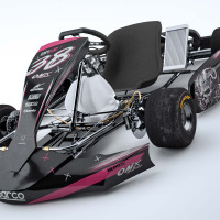 Custom Go Kart Graphics Kit Hellthorn