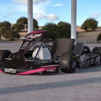 Custom Go Kart Graphics Kit Hellthorn Promo