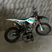 Blue MX Graphics Kit for Beta Dirt Bike Thunder Promo
