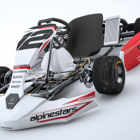 Go Kart Graphics Kit Payback Installed on a Karting Livery